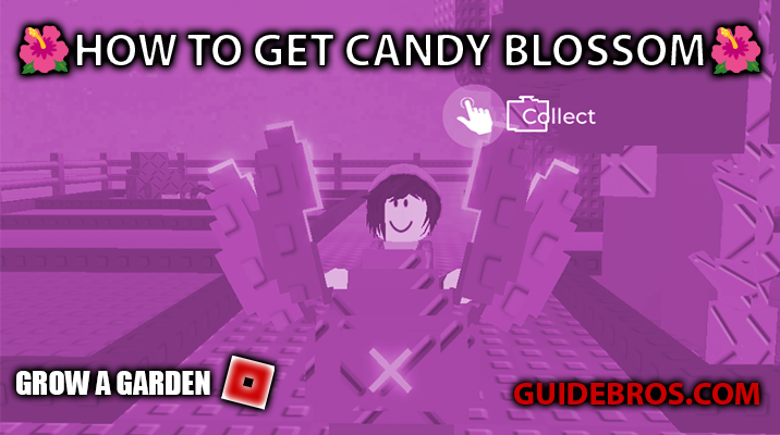 How to Get Candy Blossom in Grow a Garden (Roblox) – Easy Guide