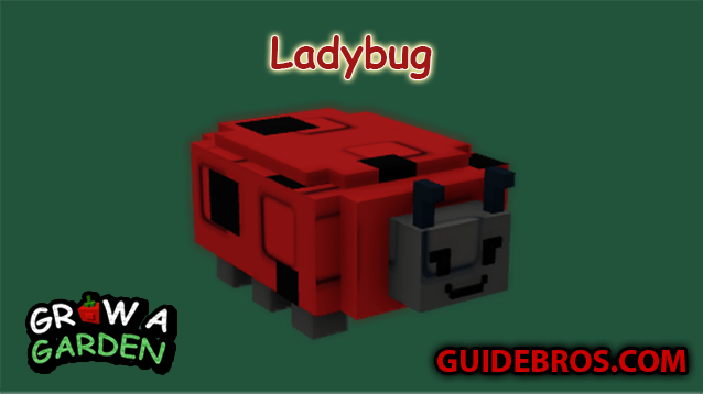 Ladybug — the flower-boosting pet you want in your garden 🐞