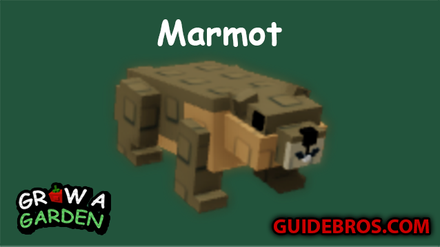 ๐น Marmot Pet in Grow a Garden Roblox โ Legendary Fall Market Guide