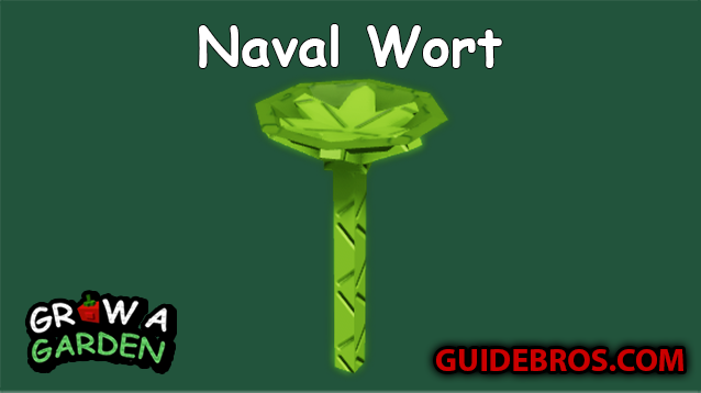 Naval Wort Seed Guide in Grow a Garden