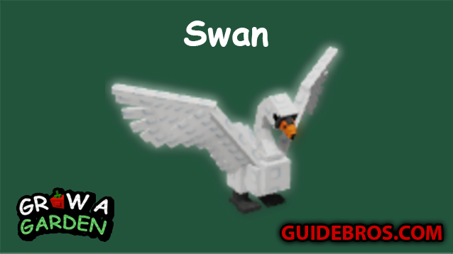 Swan Pet Guide in Roblox Grow a Garden π¦’