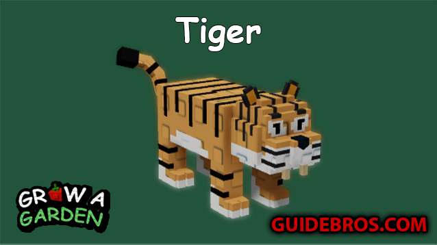 Tiger Pet Guide in Grow a Garden