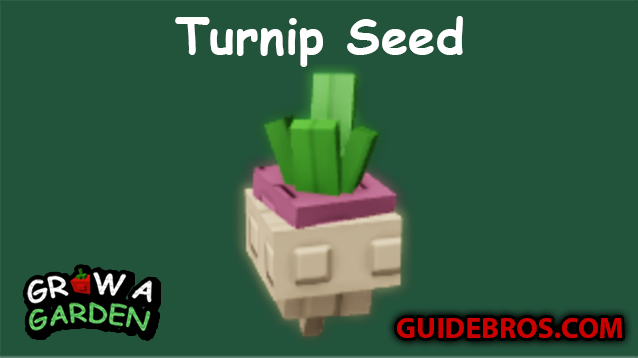 Turnip Seed Guide in Grow a Garden