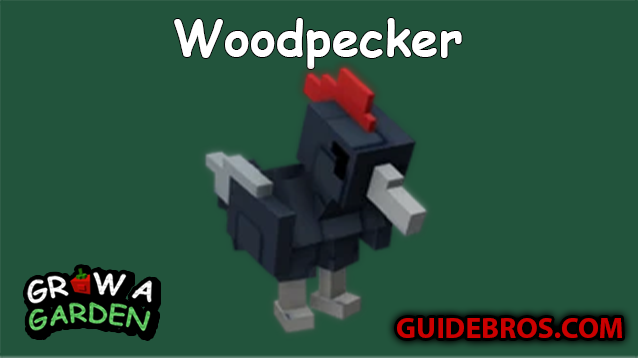 Woodpecker Pet Guide in Roblox Grow a Garden